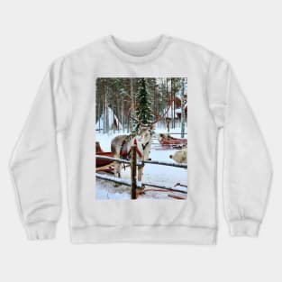 Lapland Crewneck Sweatshirt